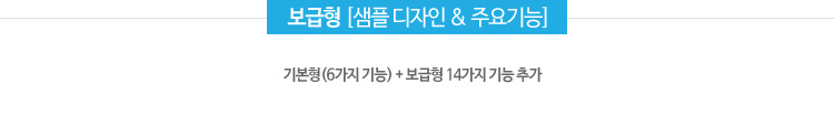 보급형